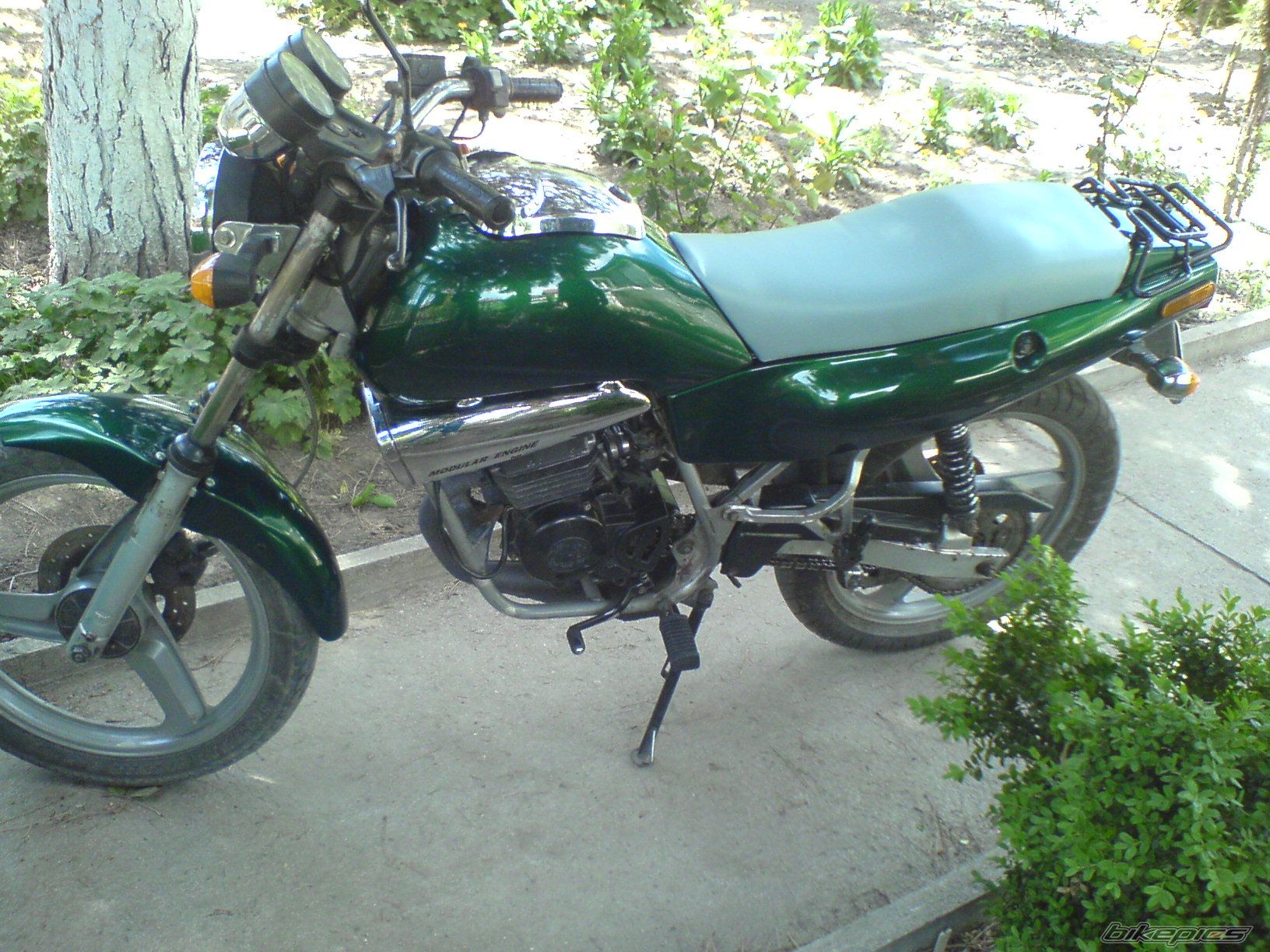 1997 DERBI SENDA R 50 | Picture 901980 motorcycle photo