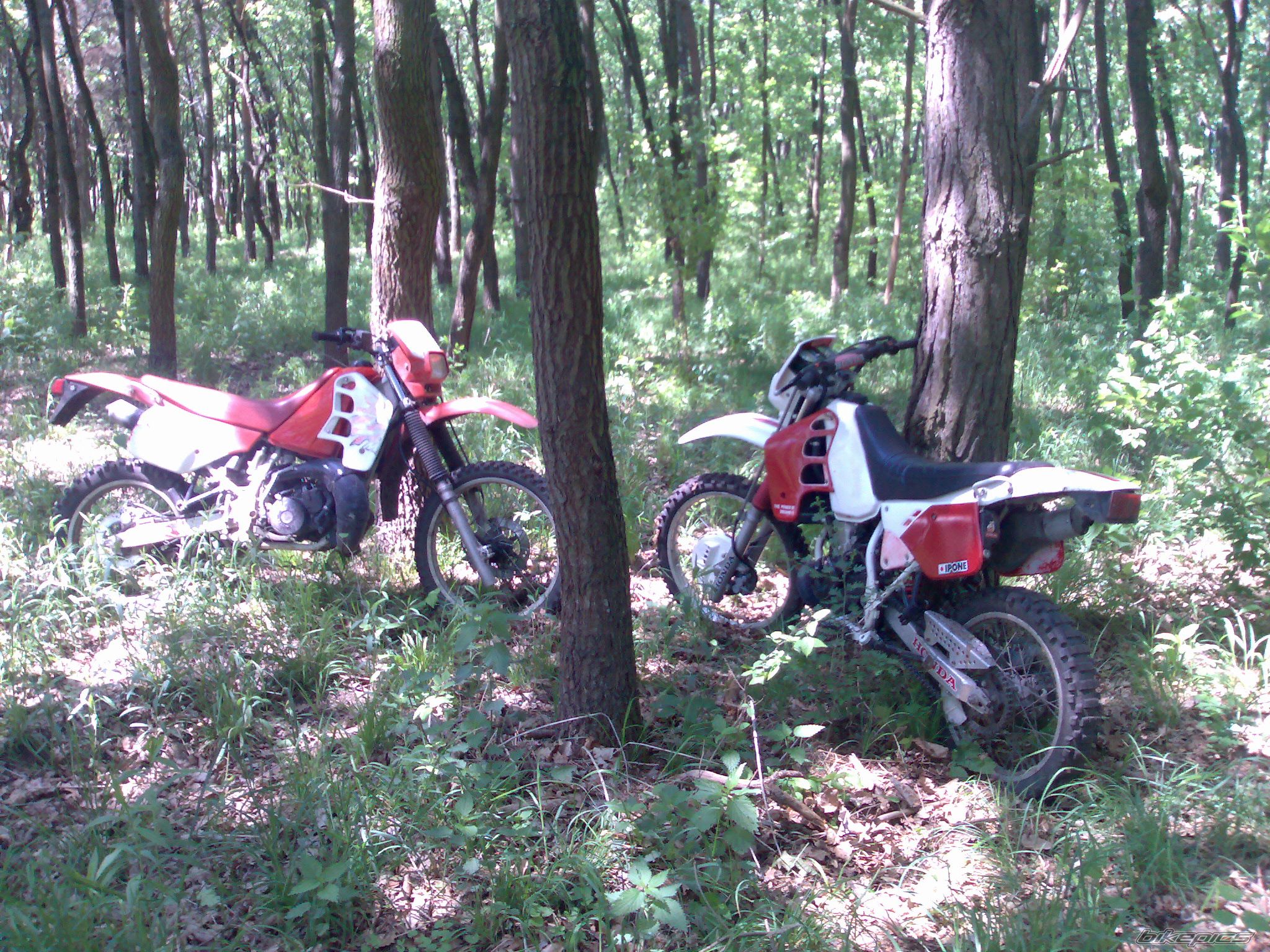    | Picture 901985 motorcycle photo
