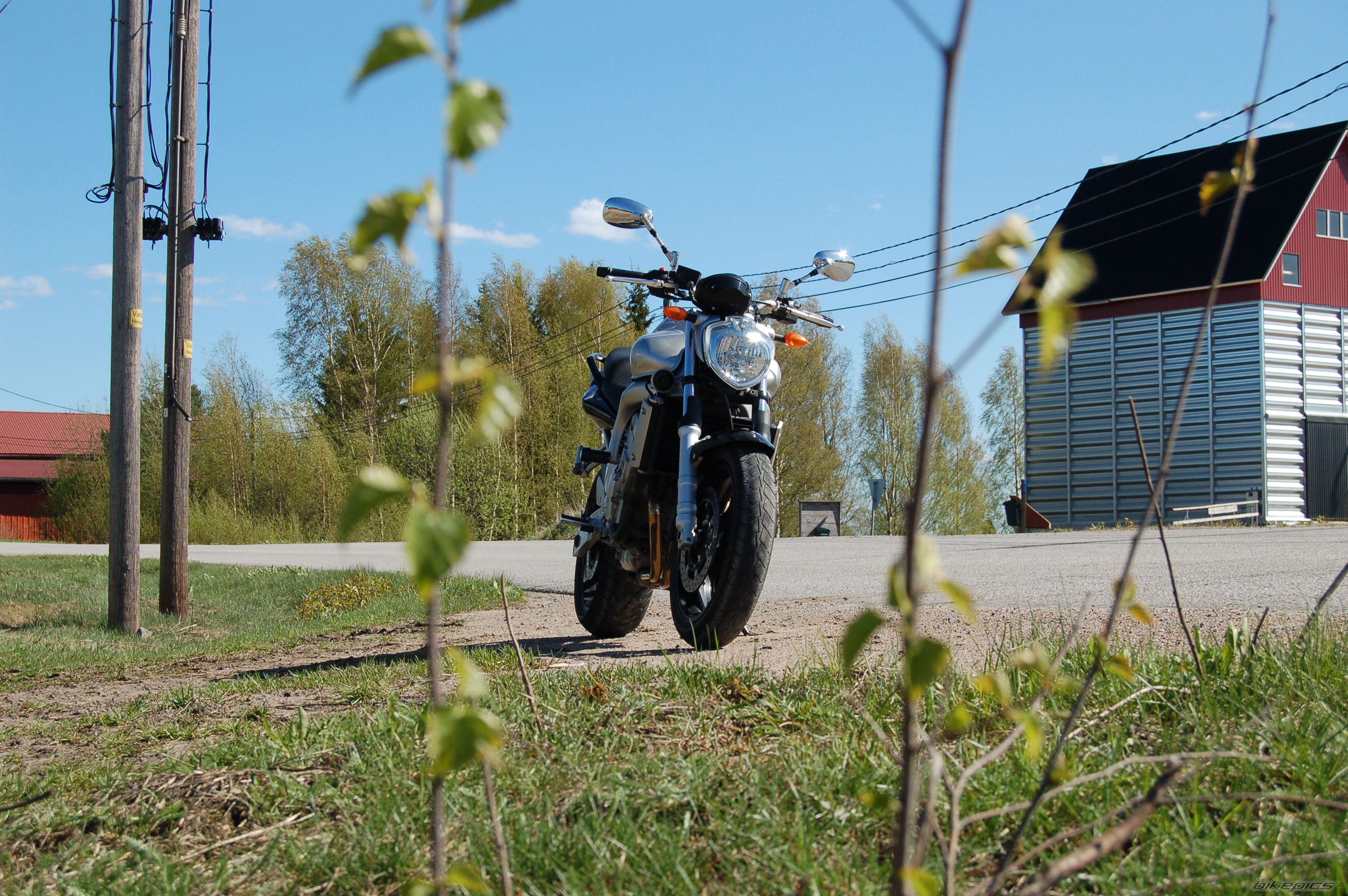 2004 YAMAHA FZ6N | Picture 902000 motorcycle photo