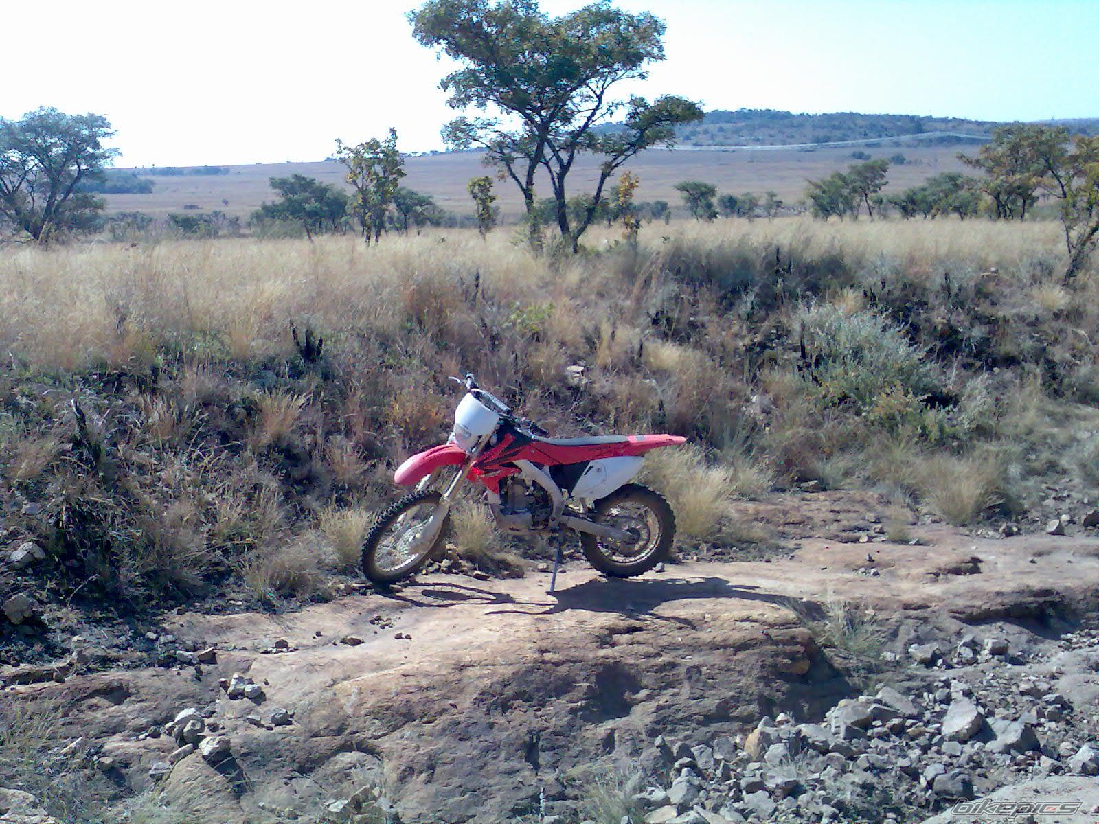 2007 HONDA CRF450X | Picture 902033 motorcycle photo