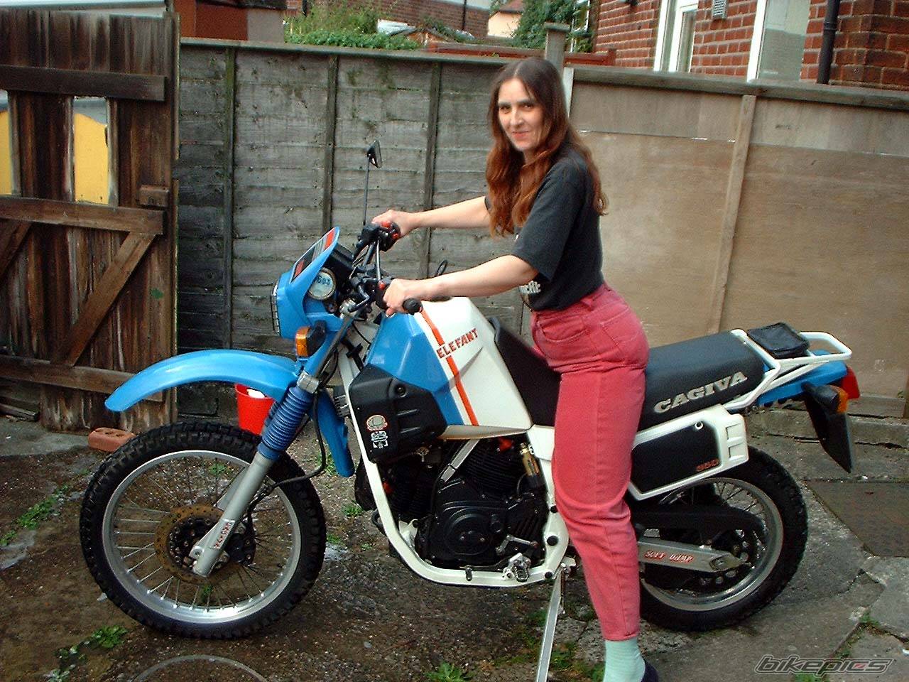 1985 CAGIVA ELEFANT 350 | Picture 90238 motorcycle photo
