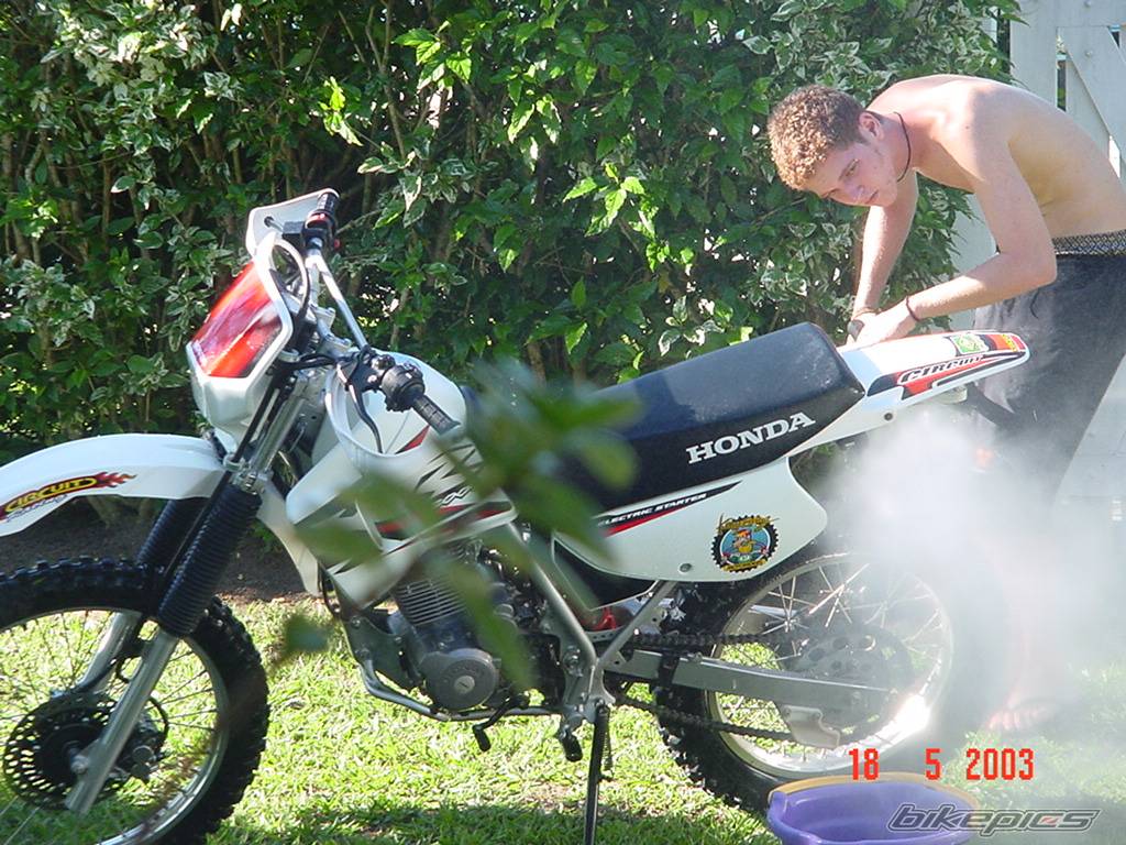 2002 HONDA XR 200 | Picture 90243 motorcycle photo