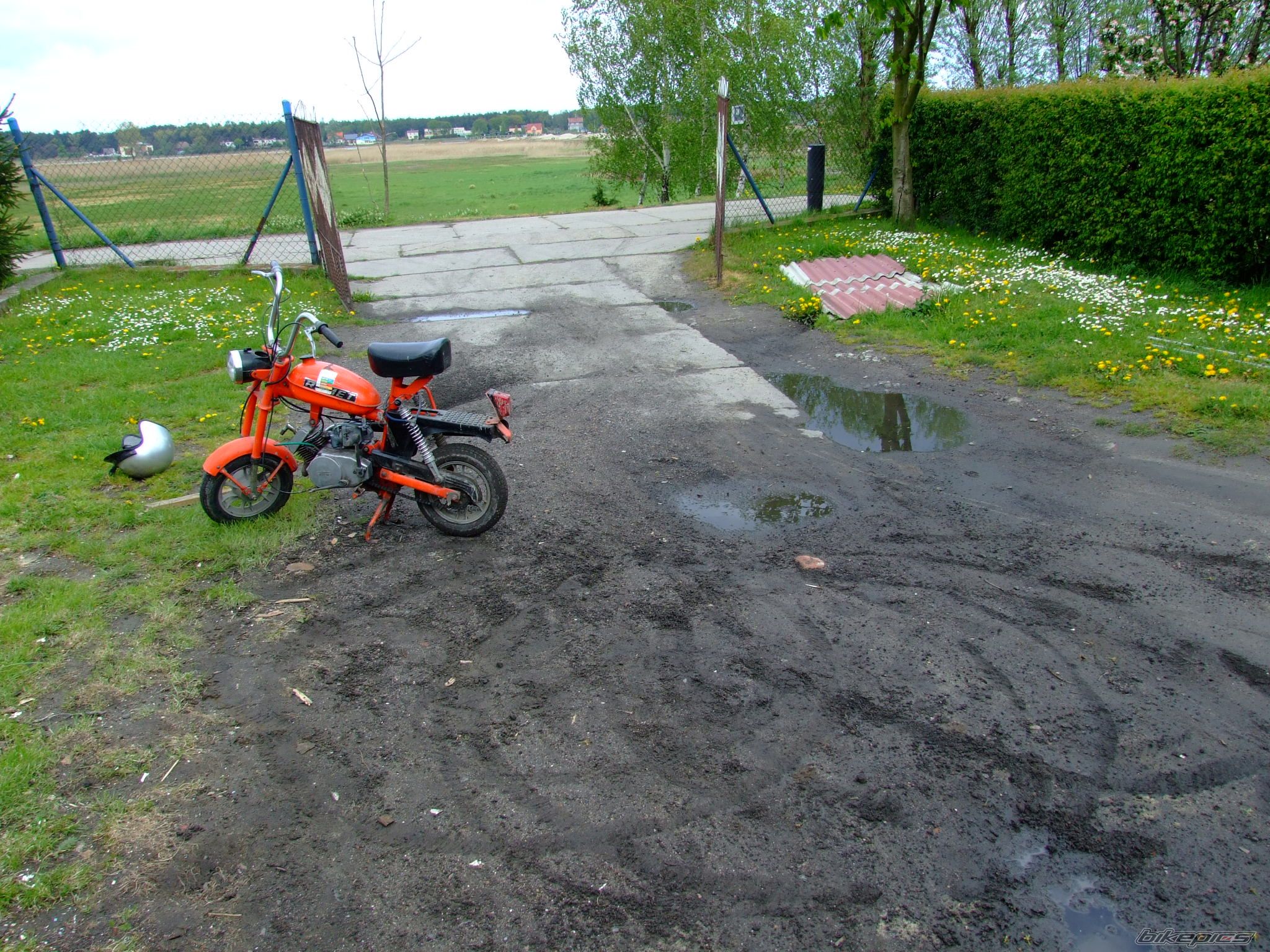 1984 ROMET PONY 50 | Picture 902874 motorcycle photo