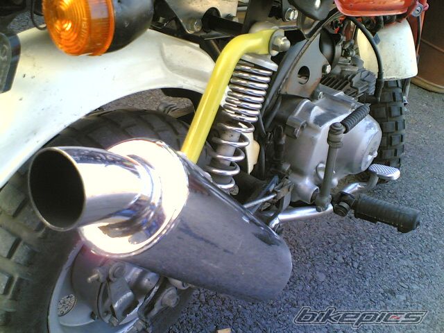1995 HONDA Z 50 | Picture 903076 motorcycle photo