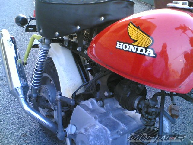 1995 HONDA Z 50 | Picture 903084 motorcycle photo