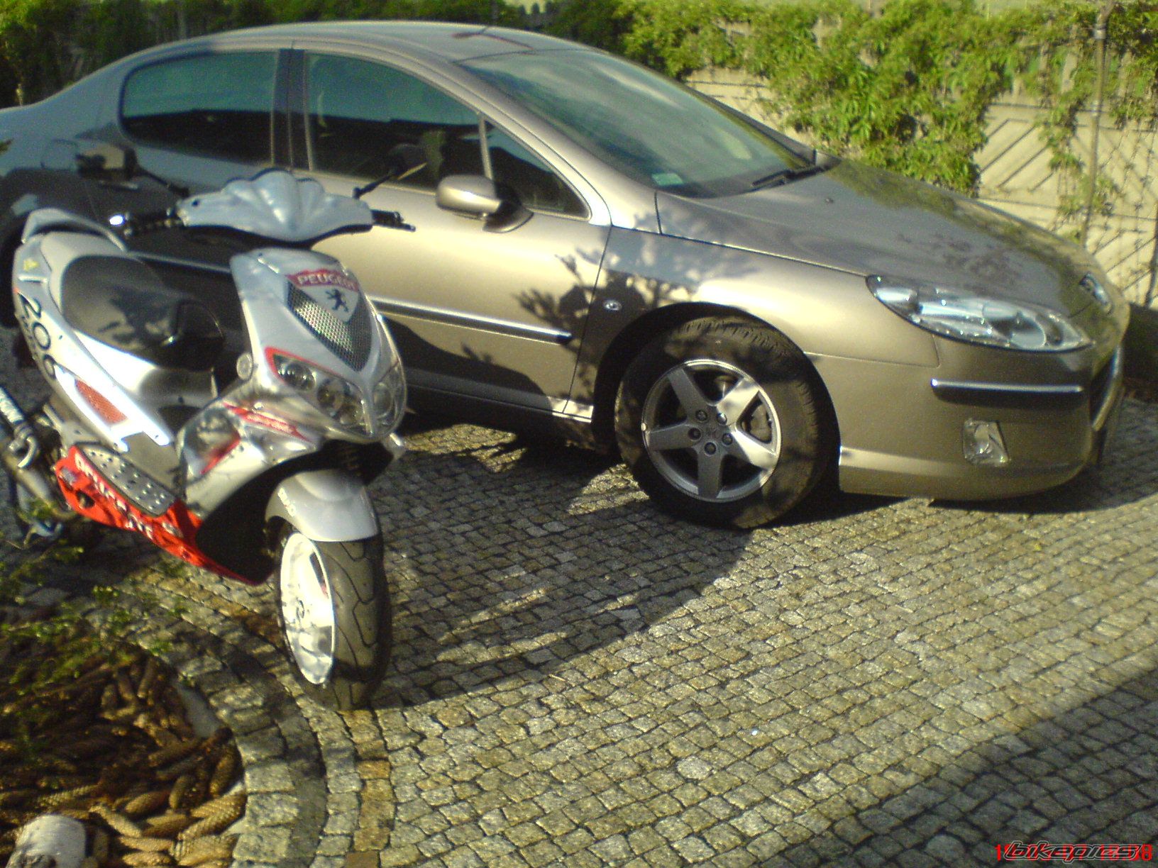 2003 PEUGEOT SPEEDFIGHT2 50 | Picture 903175 motorcycle photo