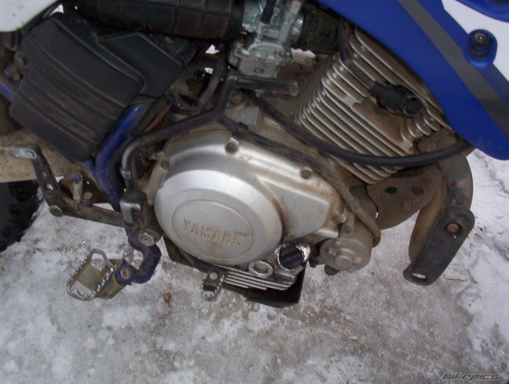 2003 YAMAHA TTR 125 | Picture 90322 motorcycle photo