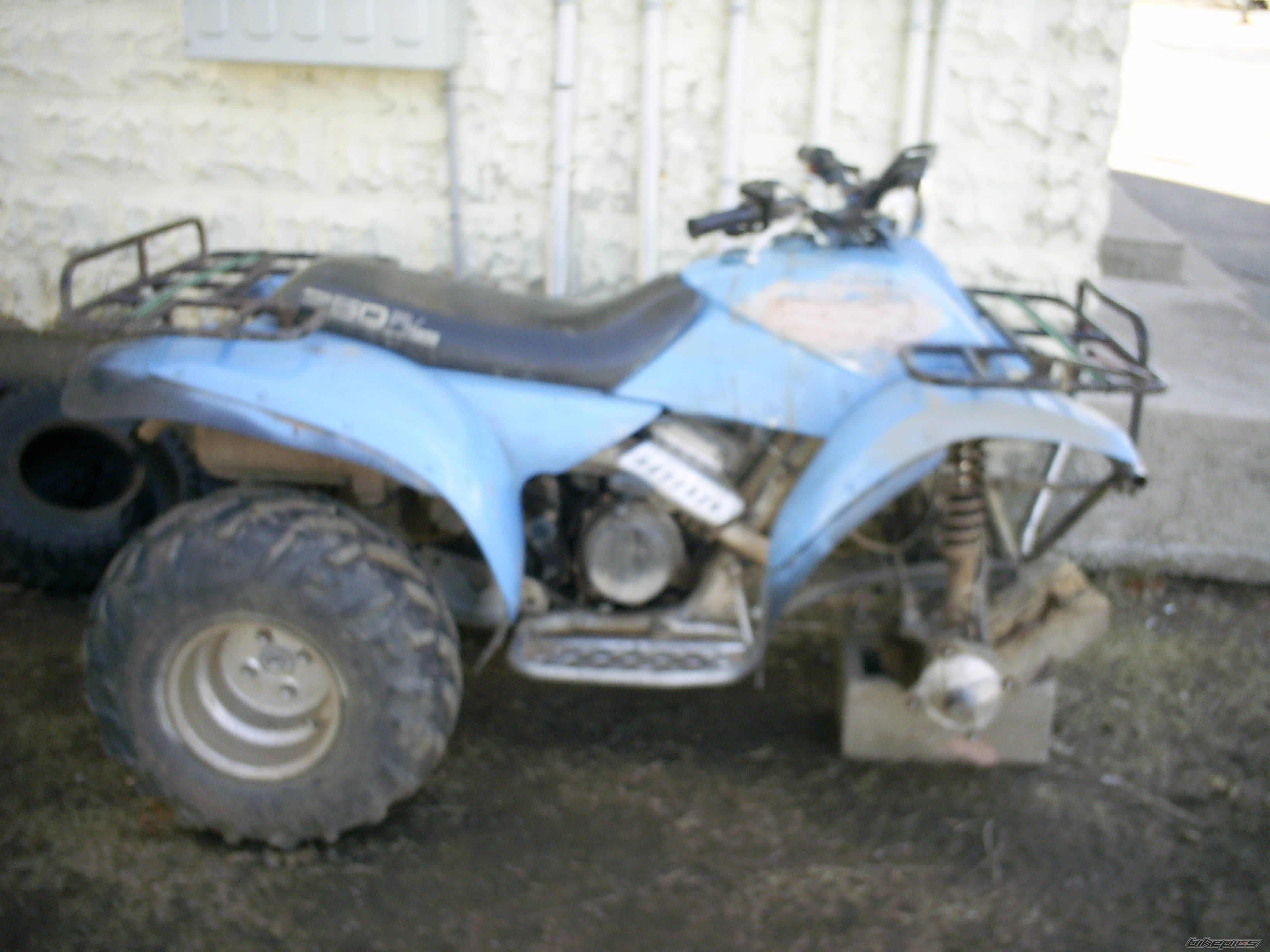 1987 POLARIS TRAIL BOSS 250 | Picture 903252 motorcycle photo