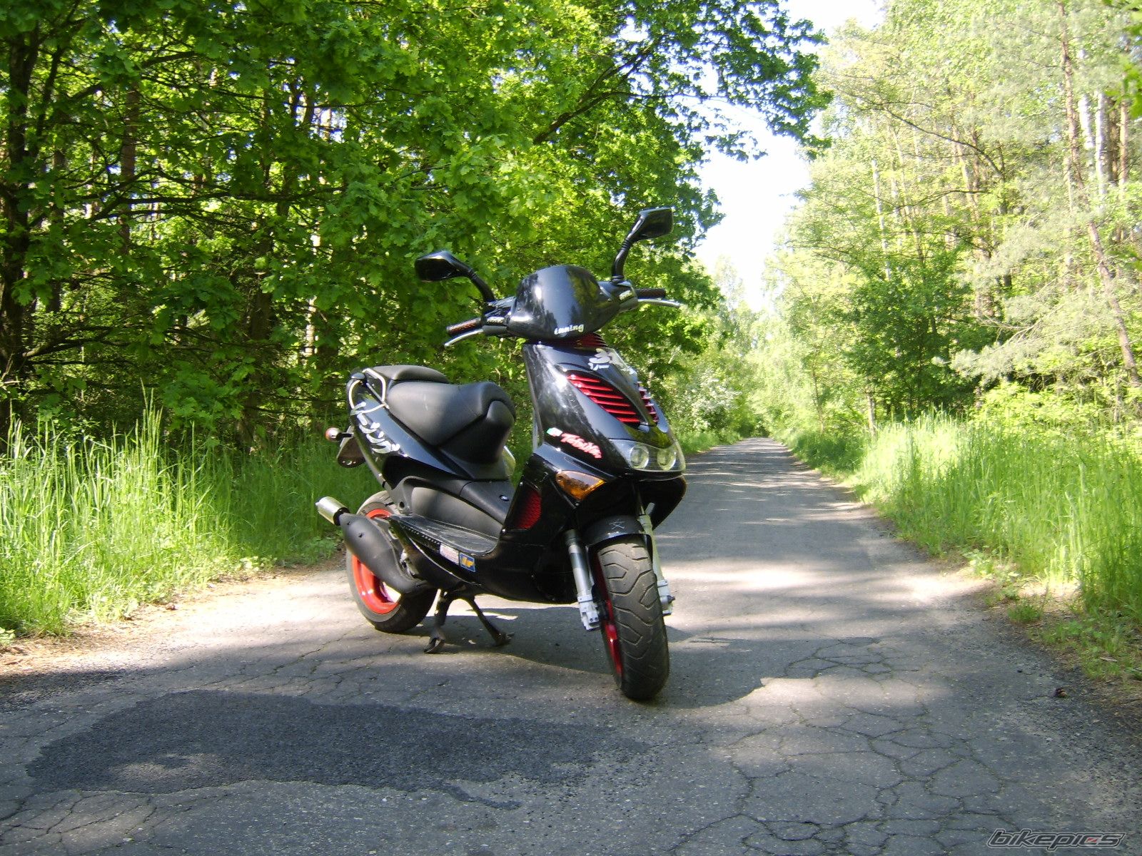 1998 APRILIA SR 50 | Picture 903274 motorcycle photo