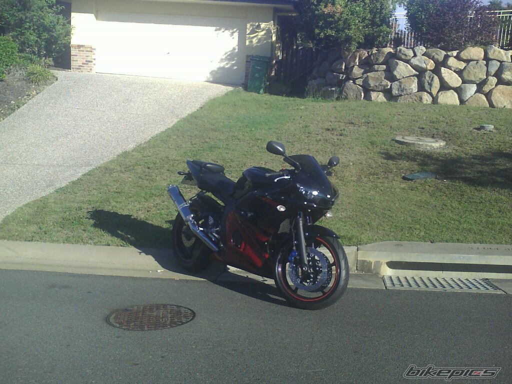 2003 YAMAHA YZF R6 | Picture 903364 motorcycle photo