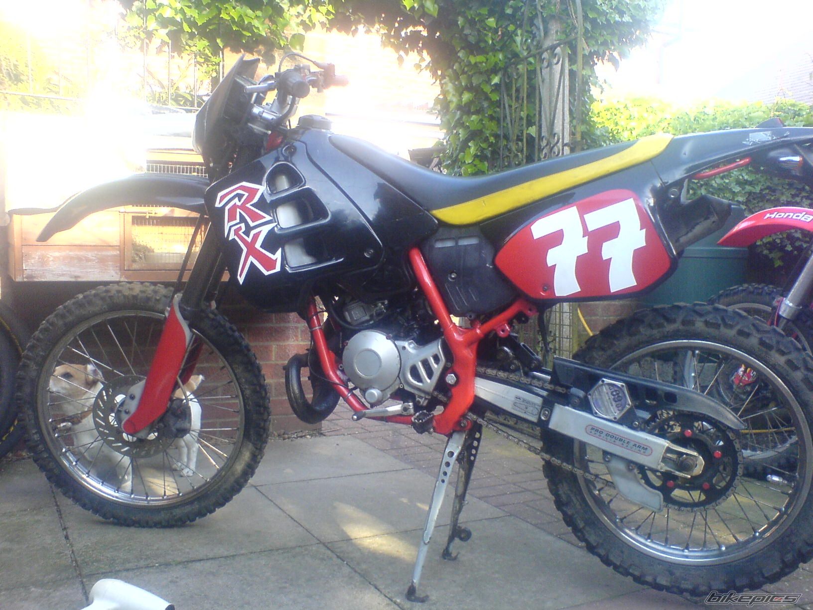 904172 | Picture 904172 motorcycle photo