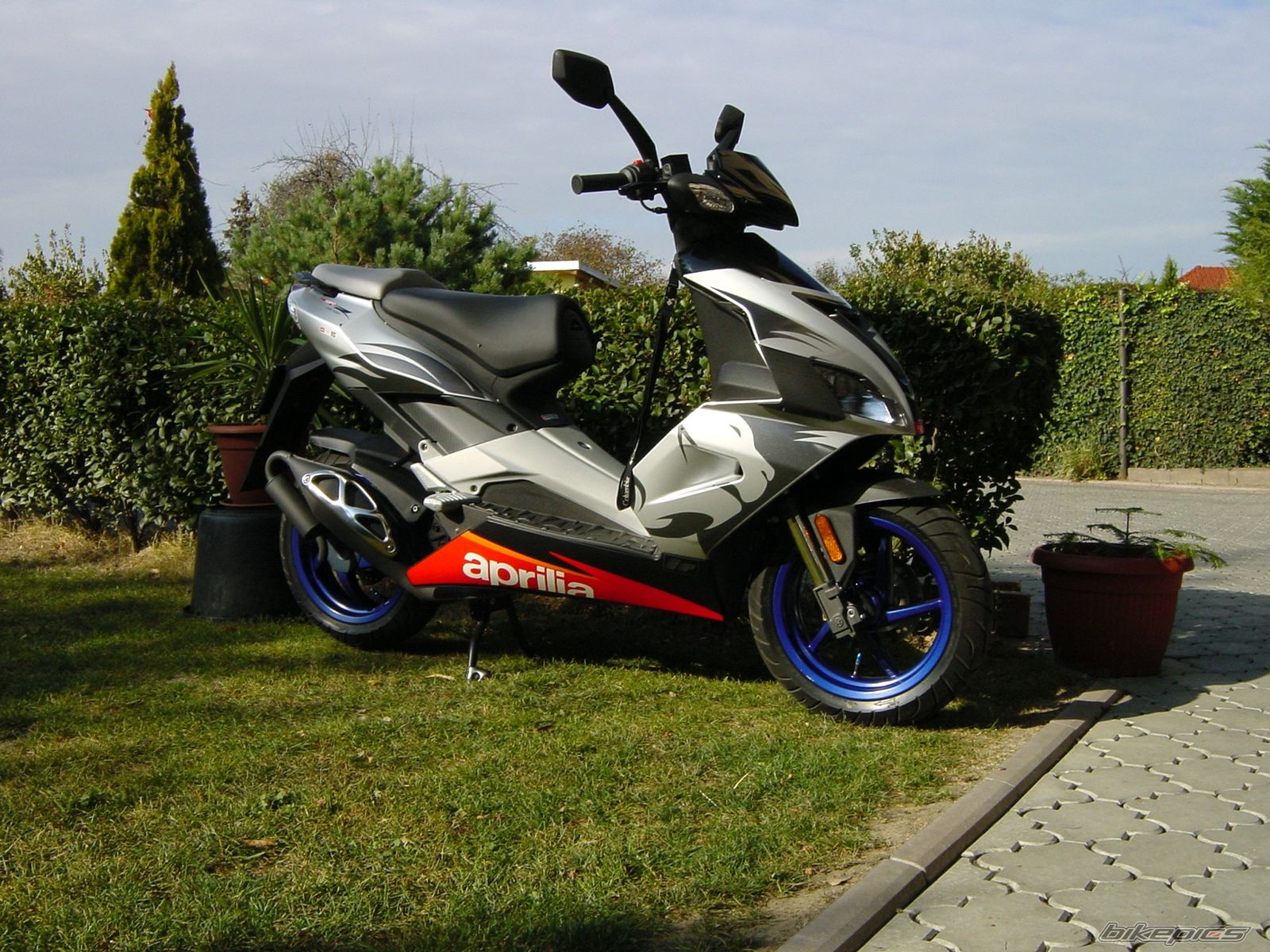 2006 APRILIA SR 50 | Picture 904264 motorcycle photo