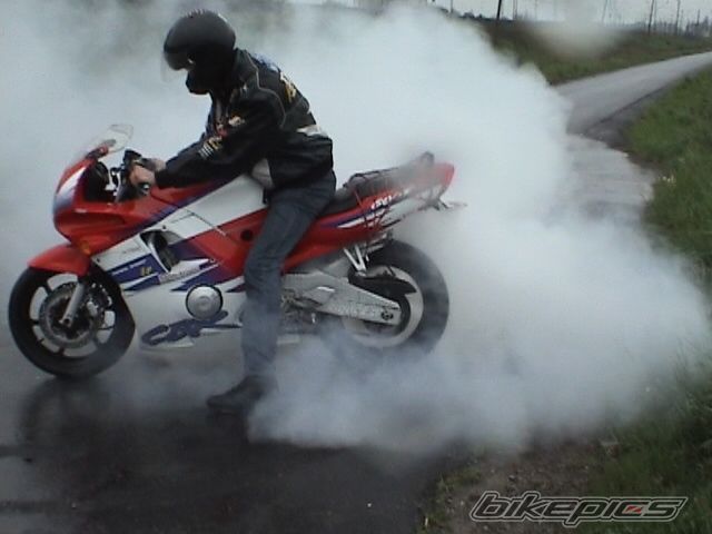 1994 HONDA CBR 600 | Picture 904295 motorcycle photo