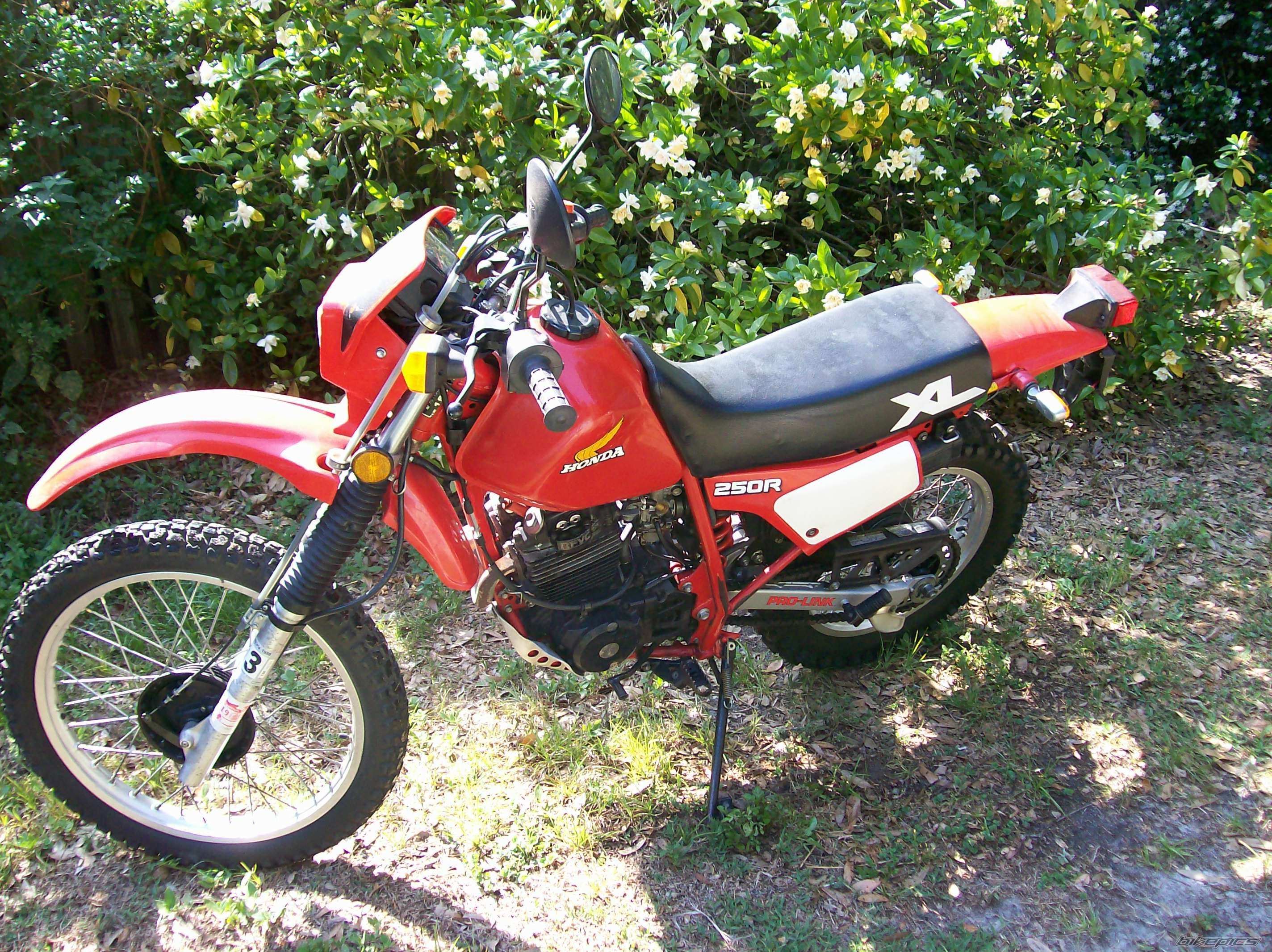 1984 HONDA XL 250 | Picture 904581 motorcycle photo