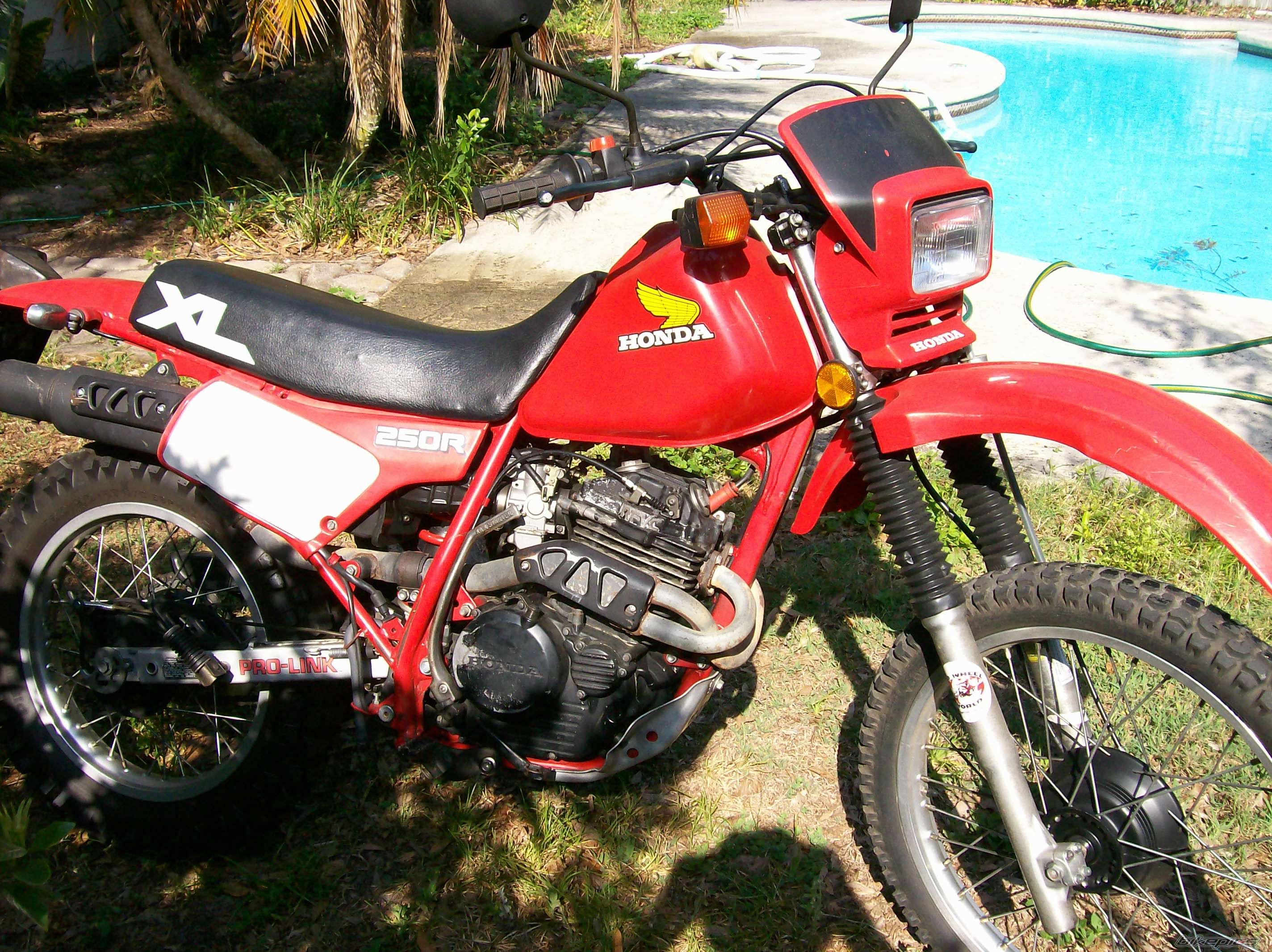1984 HONDA XL 250 | Picture 904583 motorcycle photo