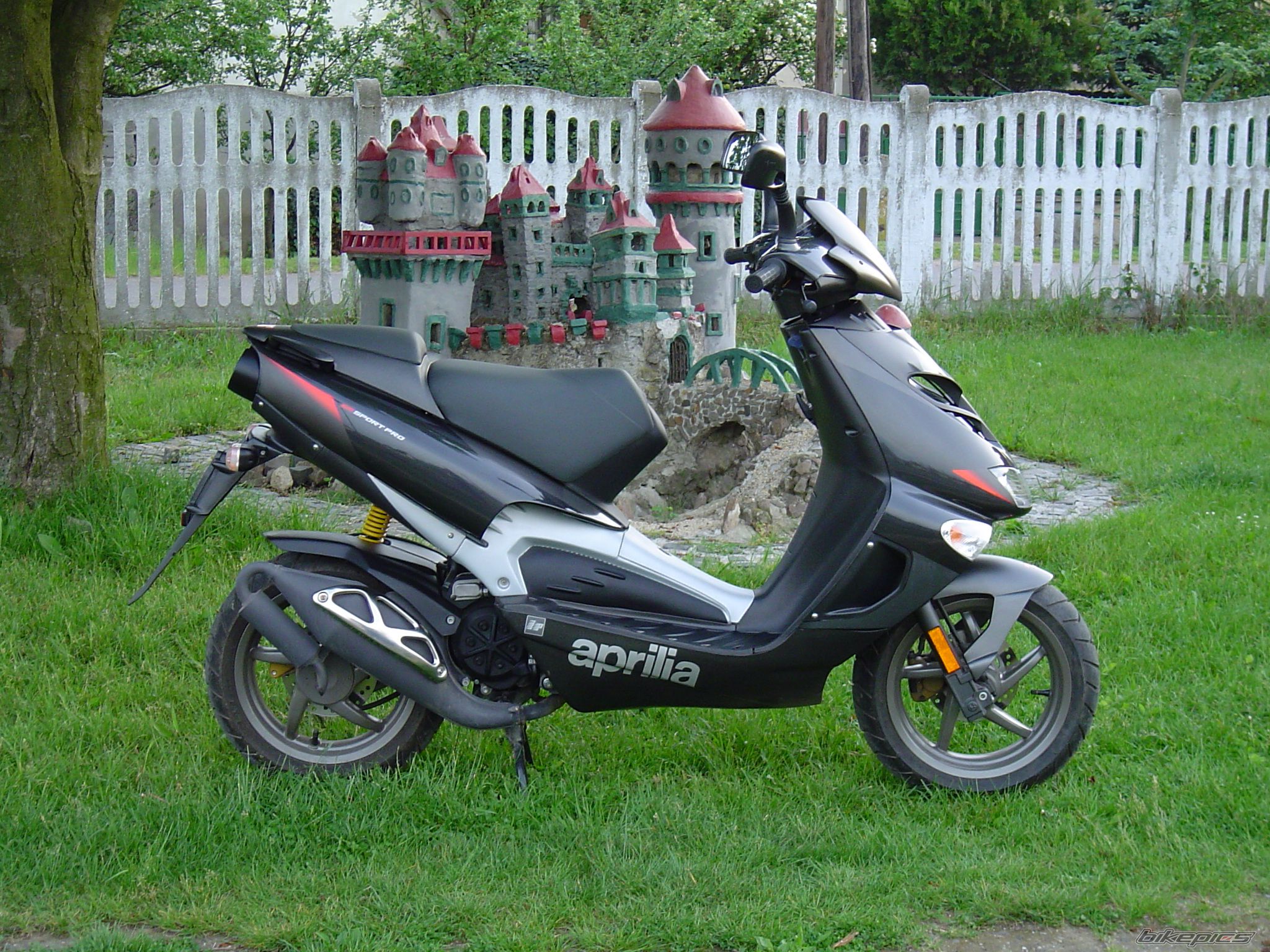 2006 APRILIA SR 50 | Picture 905069 motorcycle photo