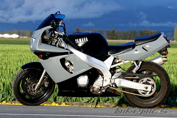 1995 YAMAHA YZF 600 | Picture 905249 motorcycle photo