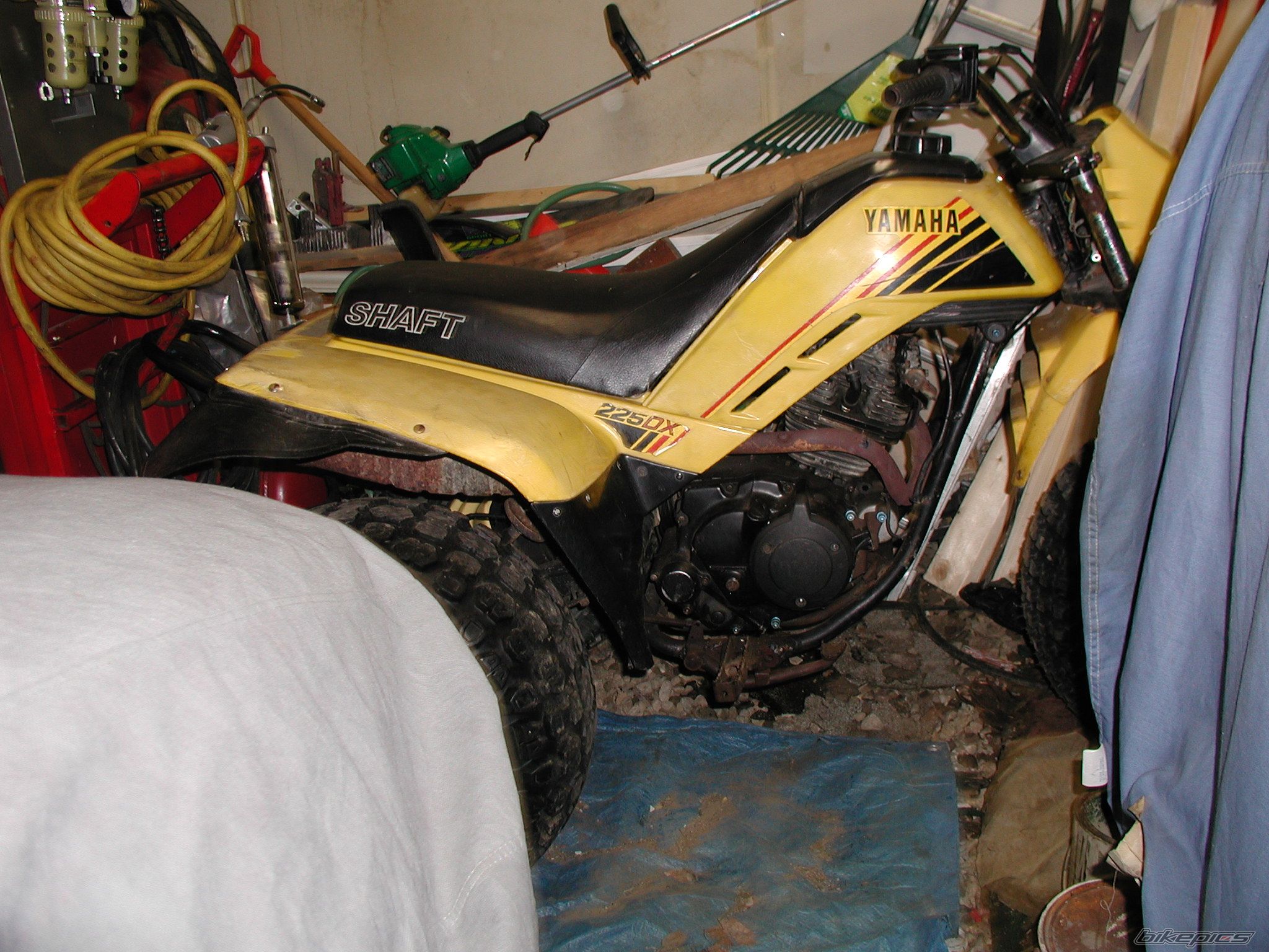 1984 YAMAHA YTM 225 | Picture 905467 motorcycle photo