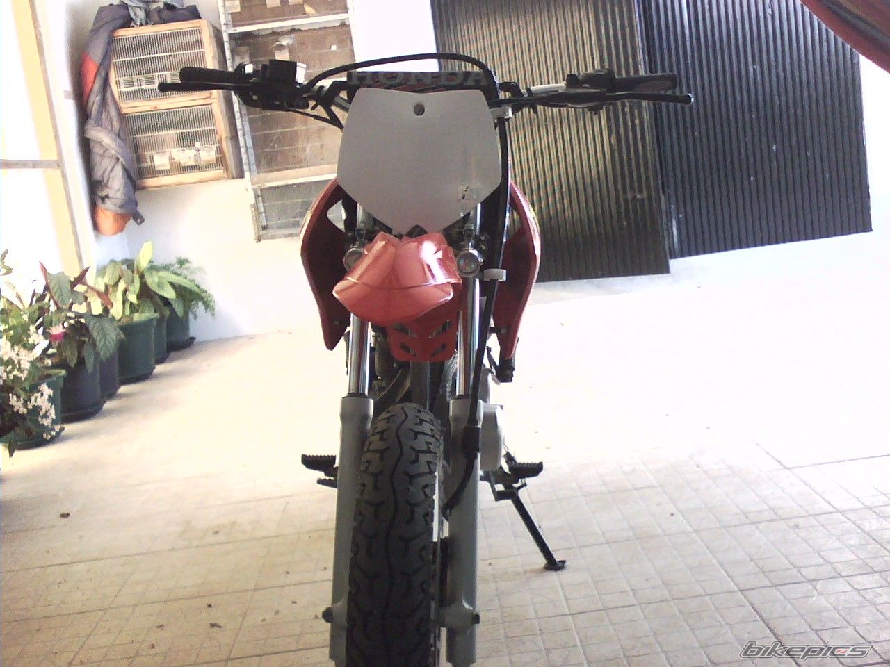 2005 HONDA XR 125 | Picture 906336 motorcycle photo