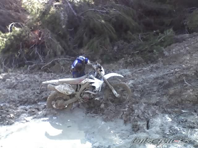 2005 HONDA CRF 450 | Picture 906491 motorcycle photo