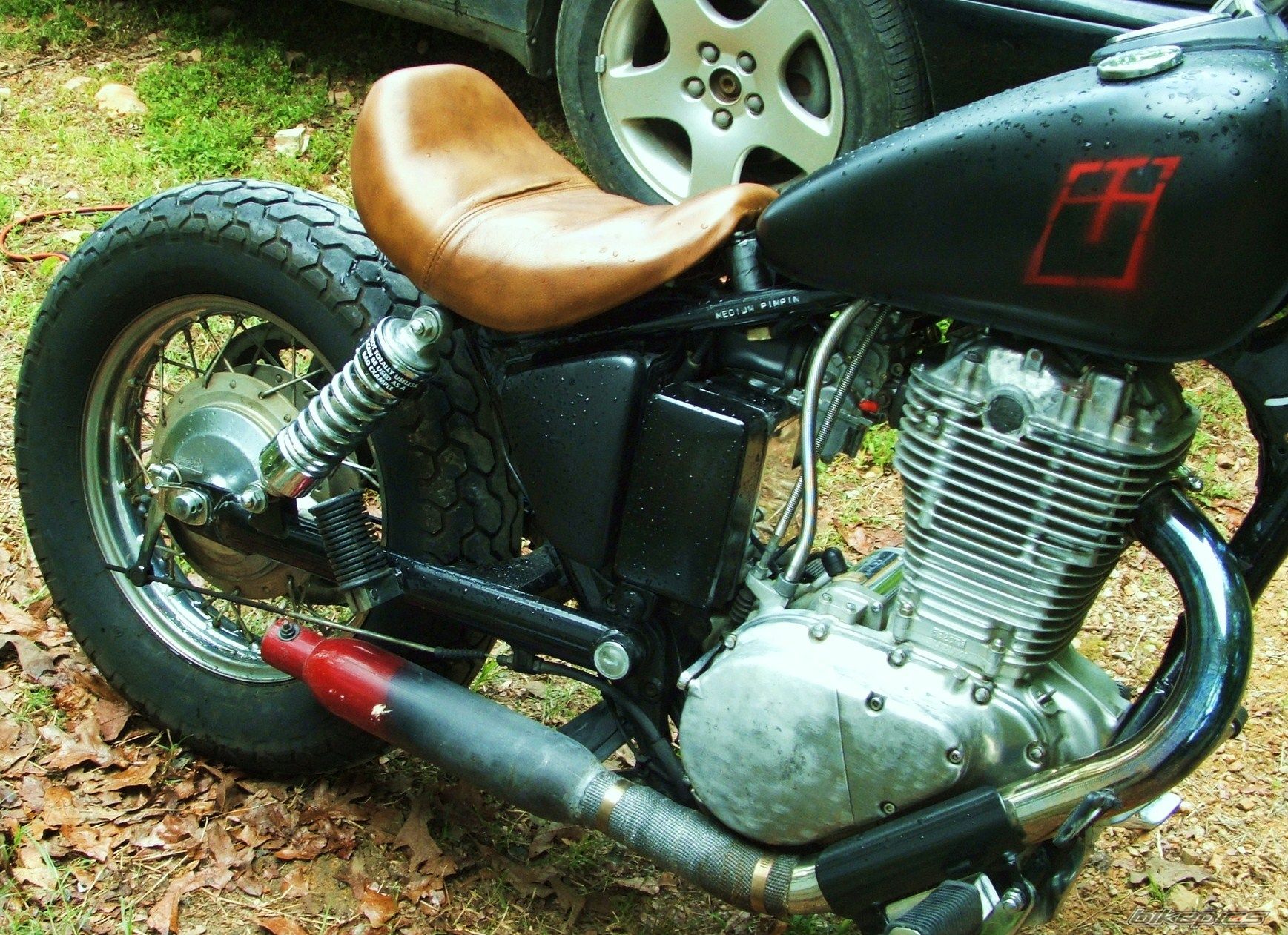 1986 SUZUKI SAVAGE | Picture 906577 motorcycle photo