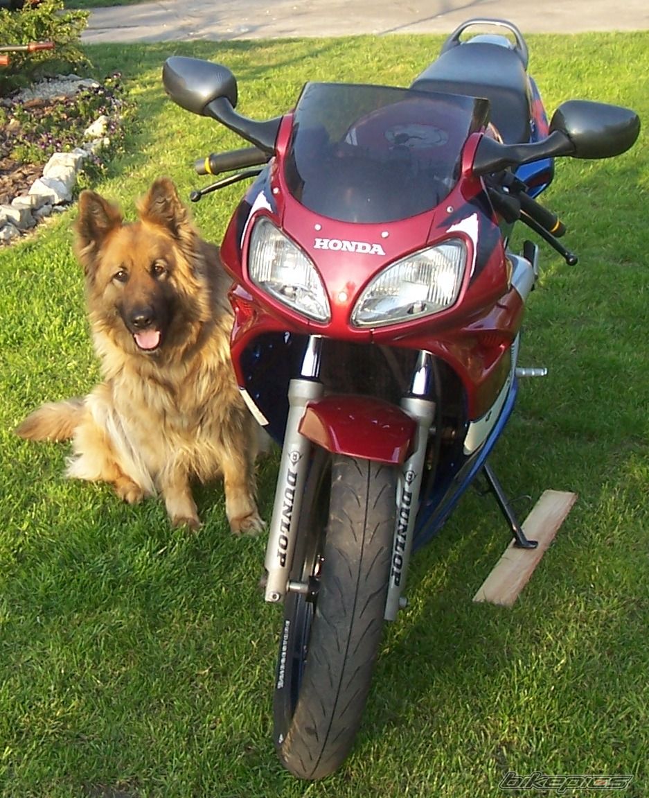 1997 HONDA NSR 125 | Picture 907410 motorcycle photo