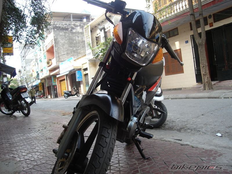 2007 HONDA NOVA DASH 125 | Picture 907686 motorcycle photo