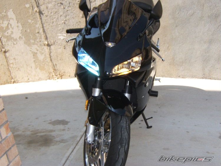 2003 HONDA CBR 600 RR | Picture 908390 motorcycle photo