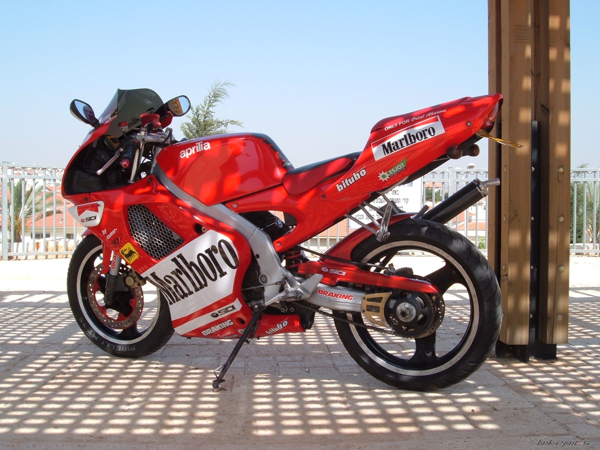 1998 APRILIA RS 50 | Picture 908998 motorcycle photo
