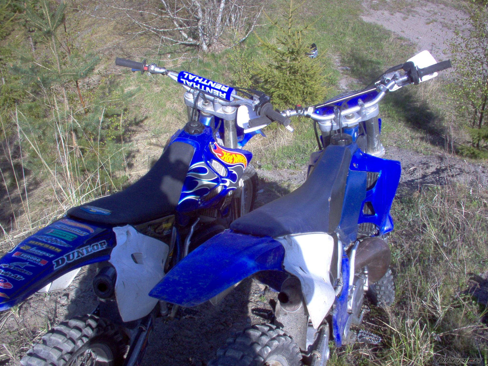 2002 YAMAHA YZ 250 | Picture 909002 motorcycle photo