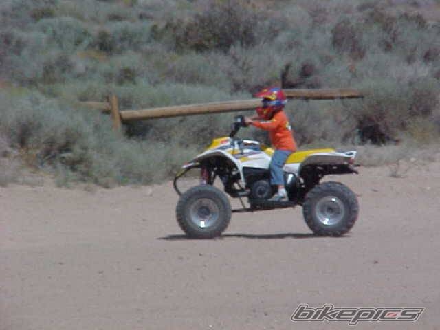 2000 POLARIS TRAIL BLAZER 250 | Picture 90910 motorcycle photo