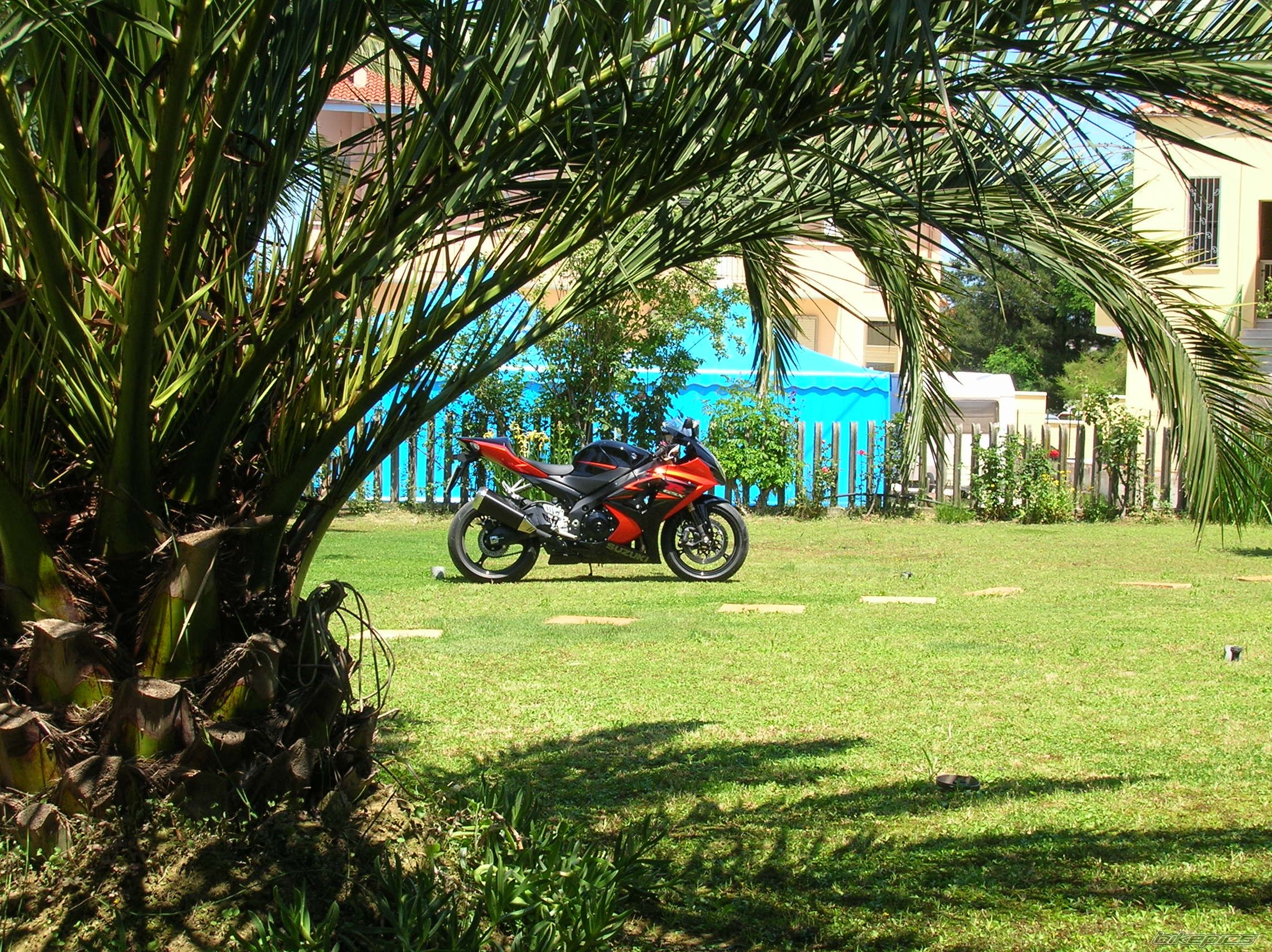 2007 SUZUKI GSX R 1000 | Picture 909524 motorcycle photo