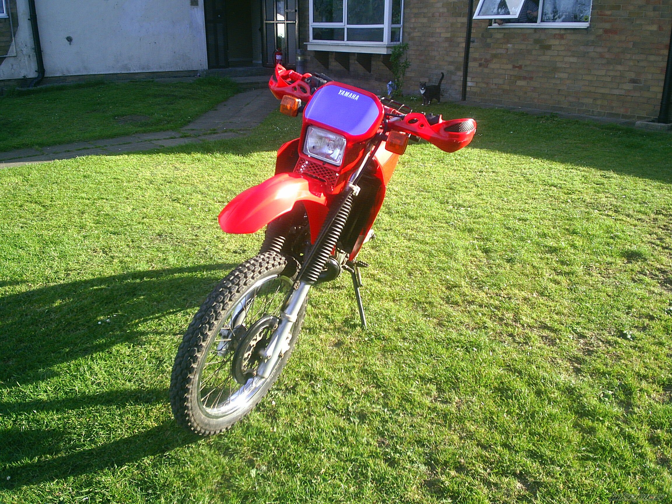 2002 YAMAHA DT 125 | Picture 909652 motorcycle photo