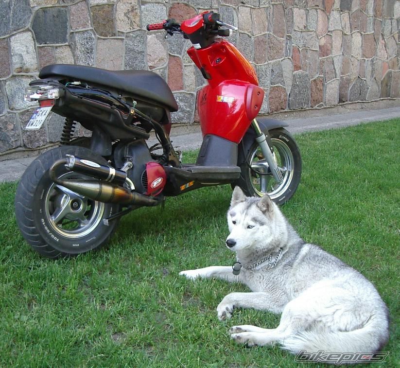 2002 YAMAHA SLIDER 50 | Picture 910345 motorcycle photo