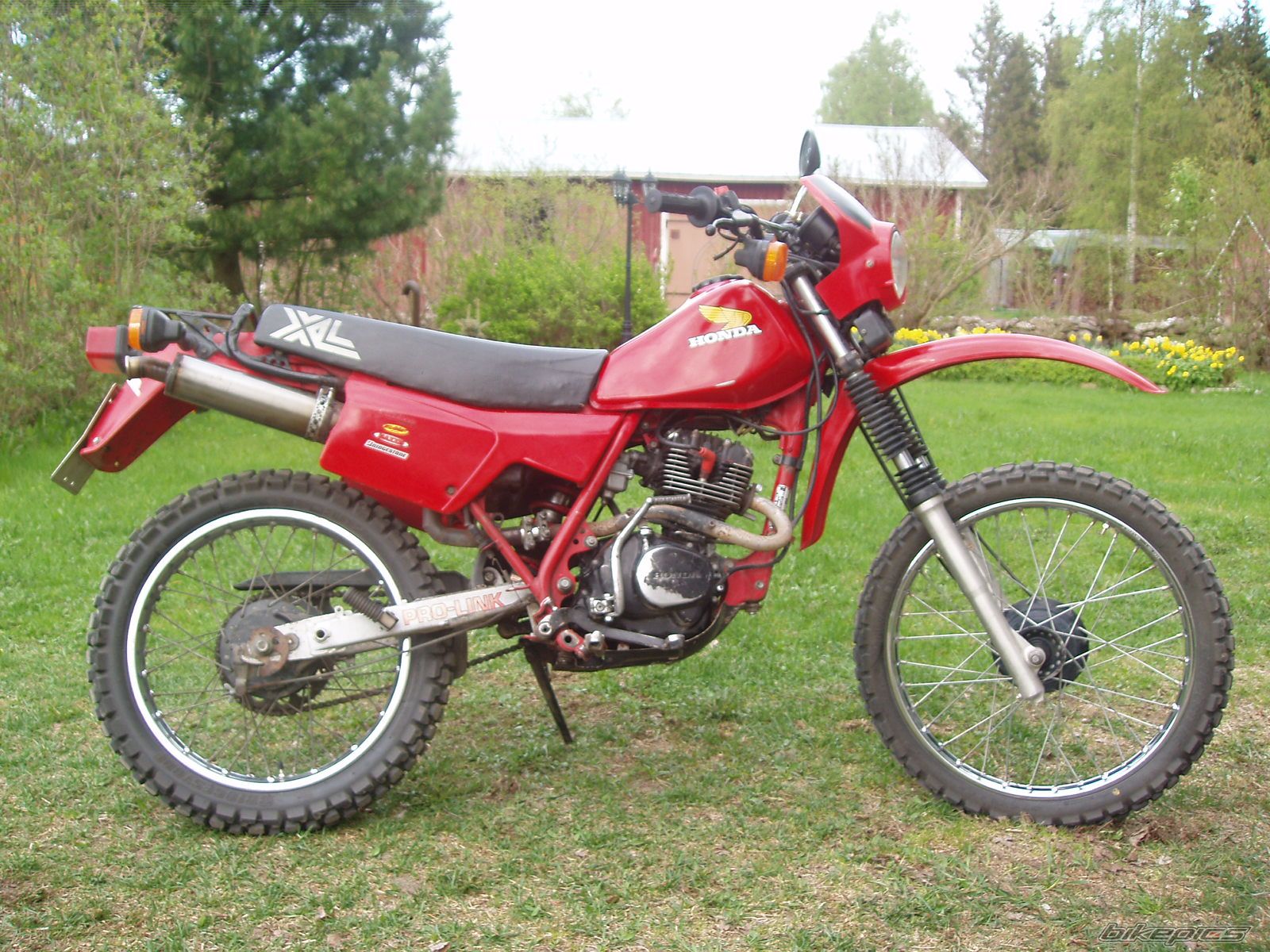 1983 HONDA XL 125 | Picture 911113 motorcycle photo