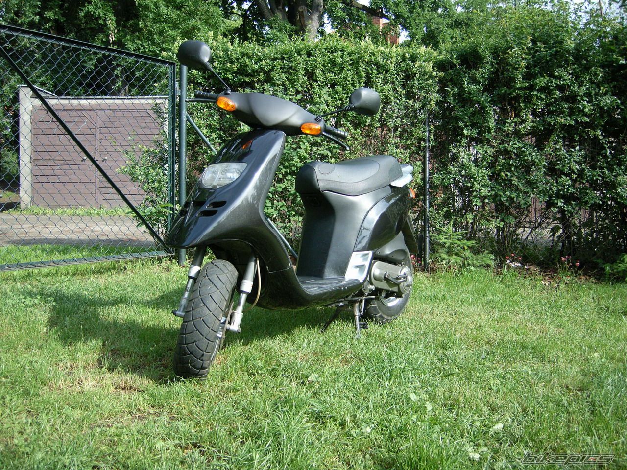 1994 PIAGGIO TYPHOON 50 | Picture 911149 motorcycle photo