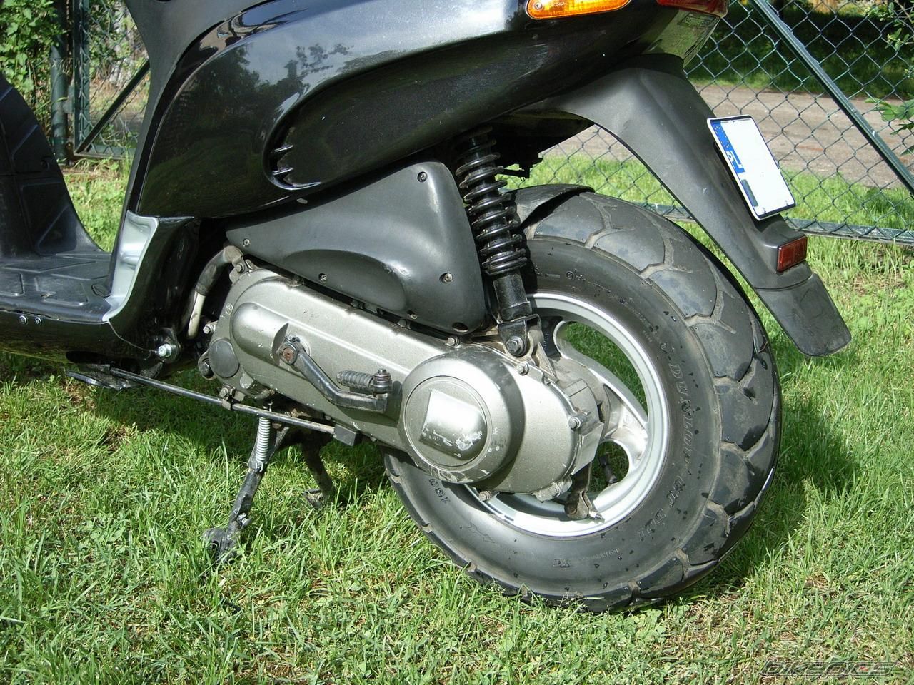 1994 PIAGGIO TYPHOON 50 | Picture 911167 motorcycle photo