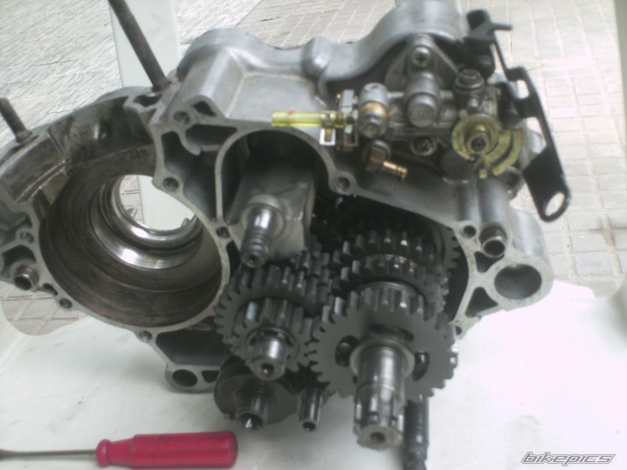 1993 KAWASAKI KMX 125 | Picture 911549 motorcycle photo