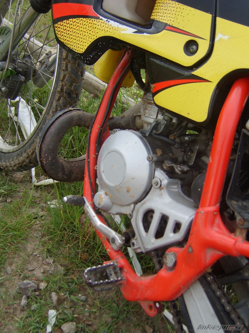 1998 APRILIA RX 50 | Picture 911619 motorcycle photo