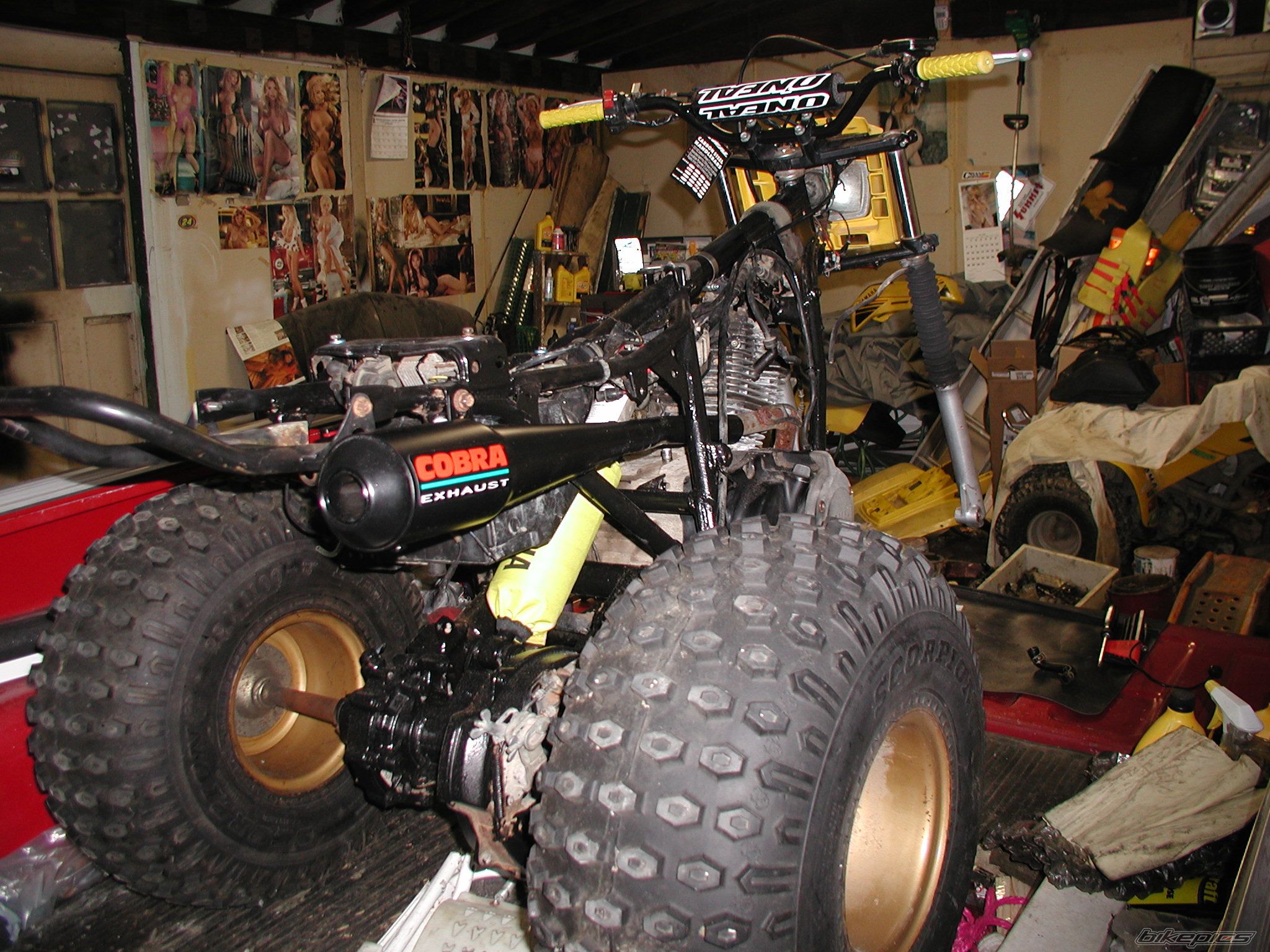 1984 YAMAHA YTM 225 | Picture 911730 motorcycle photo