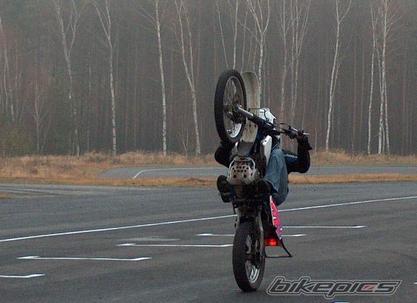 1992 SUZUKI DR 350 | Picture 912575 motorcycle photo
