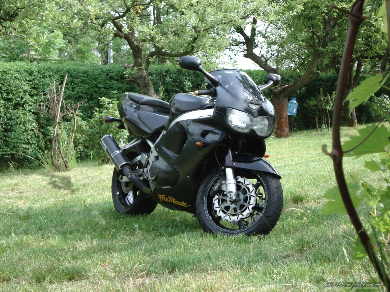 1996 HONDA CBR 900 | Picture 912591 motorcycle photo