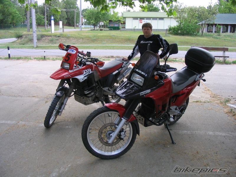 1993 SUZUKI DR 800 | Picture 913168 motorcycle photo