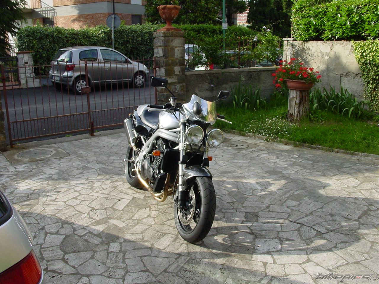 1999 TRIUMPH SPEED TRIPLE | Picture 913182 motorcycle photo