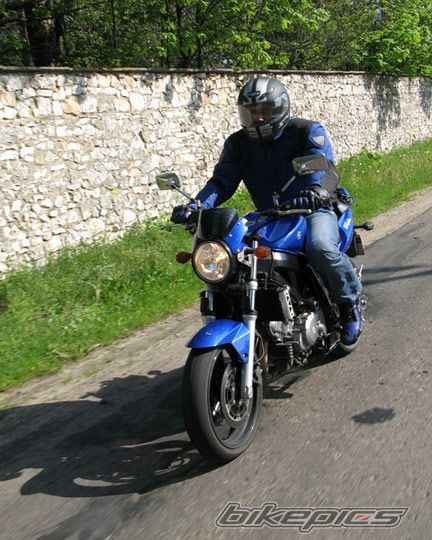 2005 SUZUKI SV 650 | Picture 913276 motorcycle photo