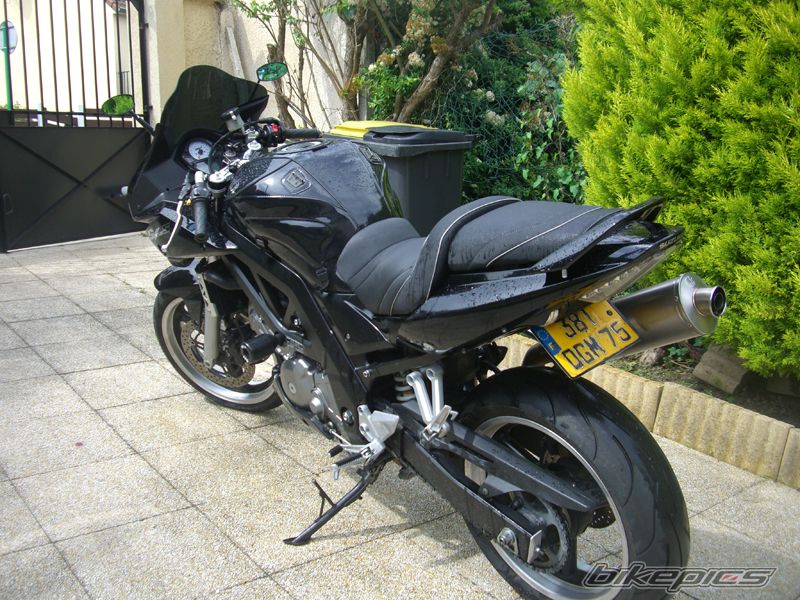 2005 SUZUKI SV 650S | Picture 913412 motorcycle photo