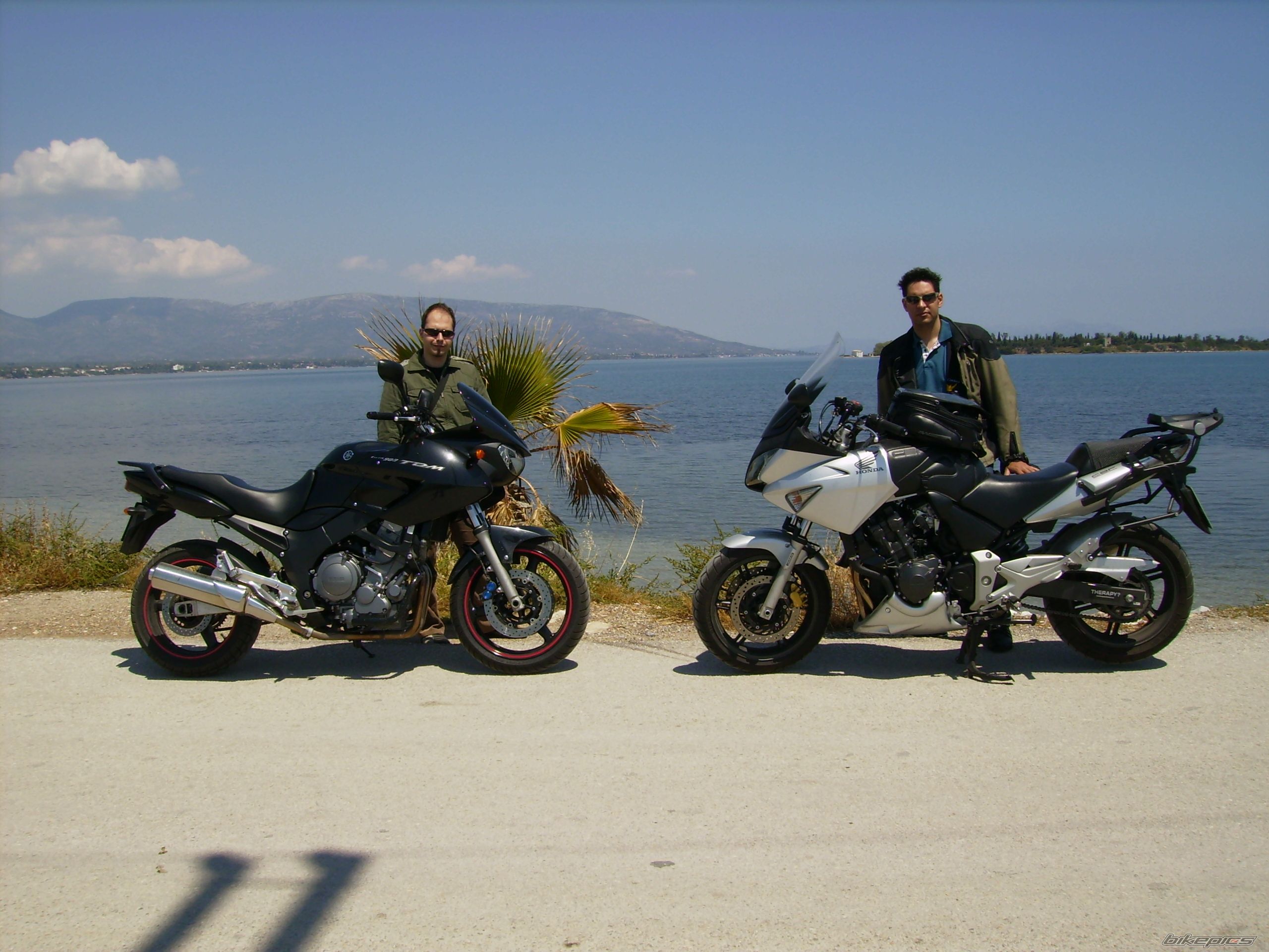 2004 HONDA CBF 600 | Picture 913842 motorcycle photo