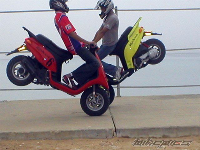 1996 PIAGGIO TYPHOON 50 | Picture 914001 motorcycle photo