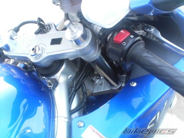 2002 SUZUKI SV 650S | Picture 914255 motorcycle photo