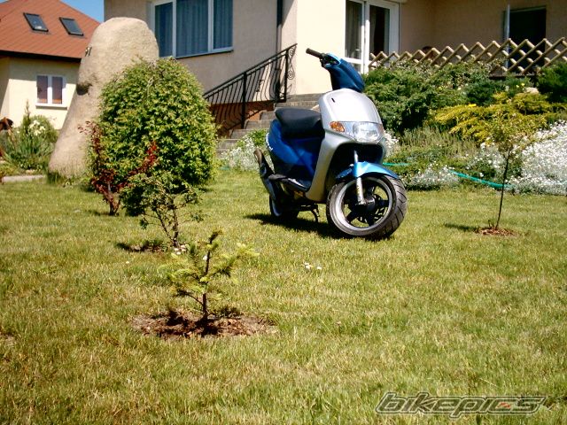 2002 DERBI ATLANTIS | Picture 914660 motorcycle photo